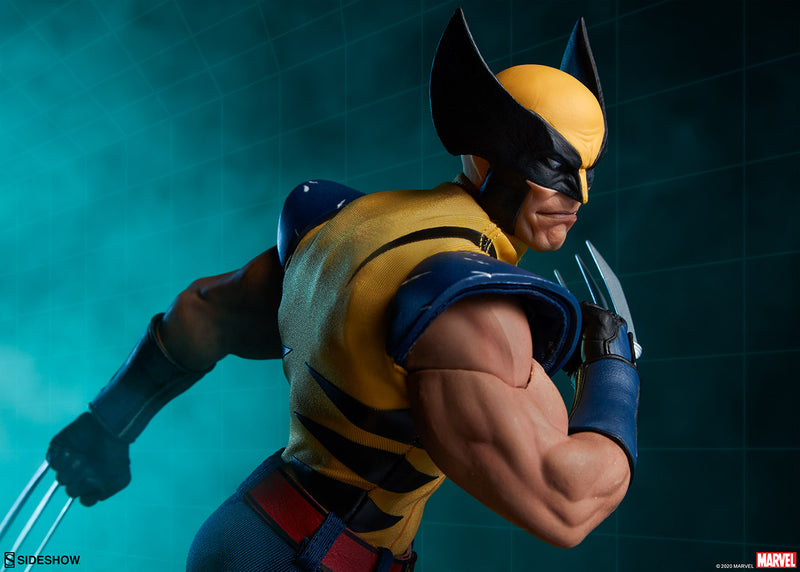 Load image into Gallery viewer, Comic Book Wolverine Exclusive - MINT IN BOX
